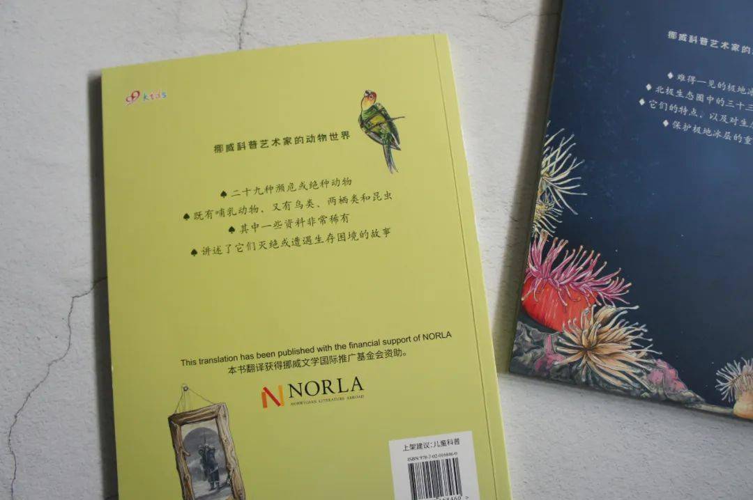 生活小百科绘本内容_百科绘本内容生活小报怎么画_生活类绘本